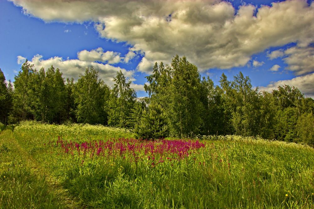 Летний день.