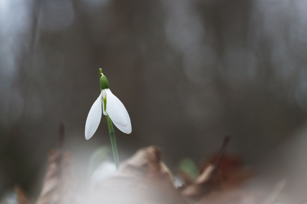 Фотография автора Rimma Gerasimenko