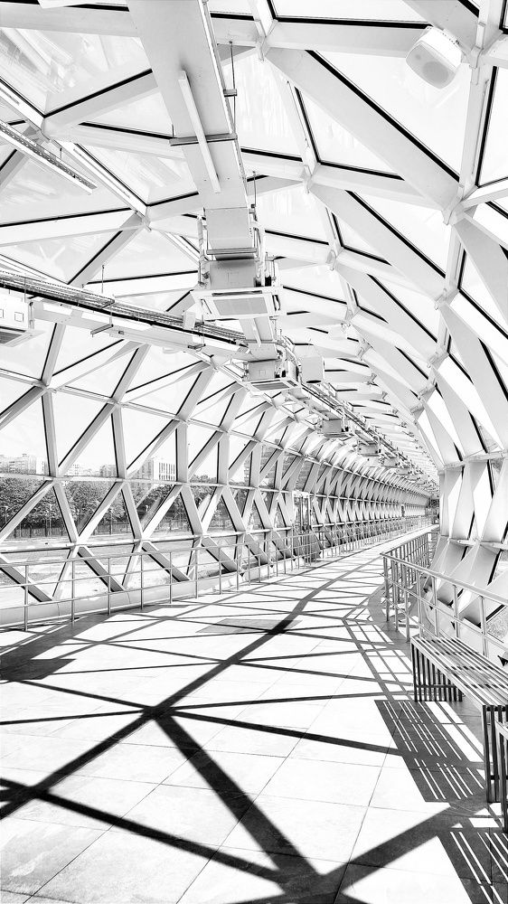 Photograph by Ольга Метлицкая