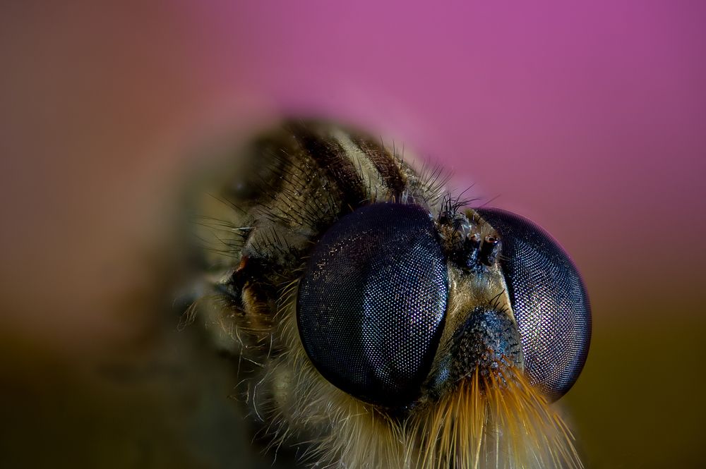 Photograph by Юрий Яковлевич