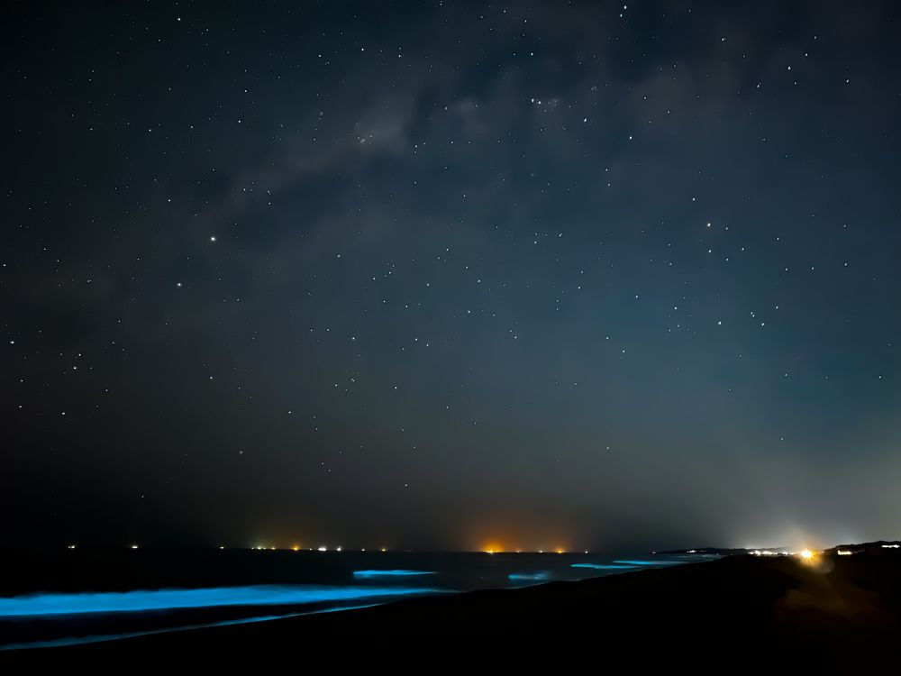 Noctilucas y estrellas