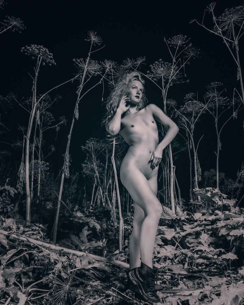 Photograph by Carp Energy