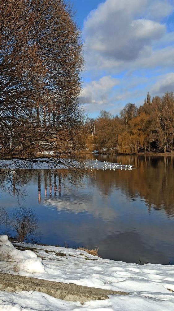 Photograph by Людмила Щуцкая