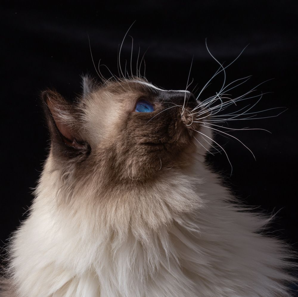 Фотография автора Наталья Якушонок