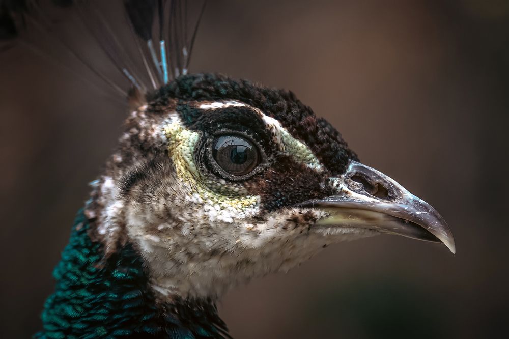 Photograph by Юрий Михайлович Головкин