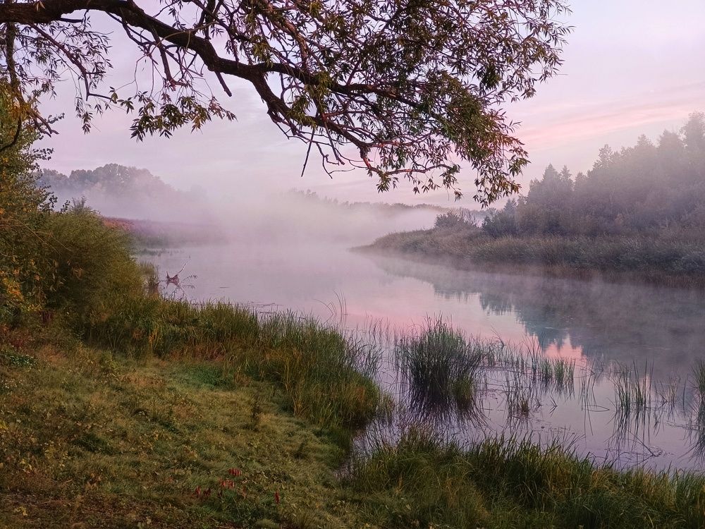 Утро на реке