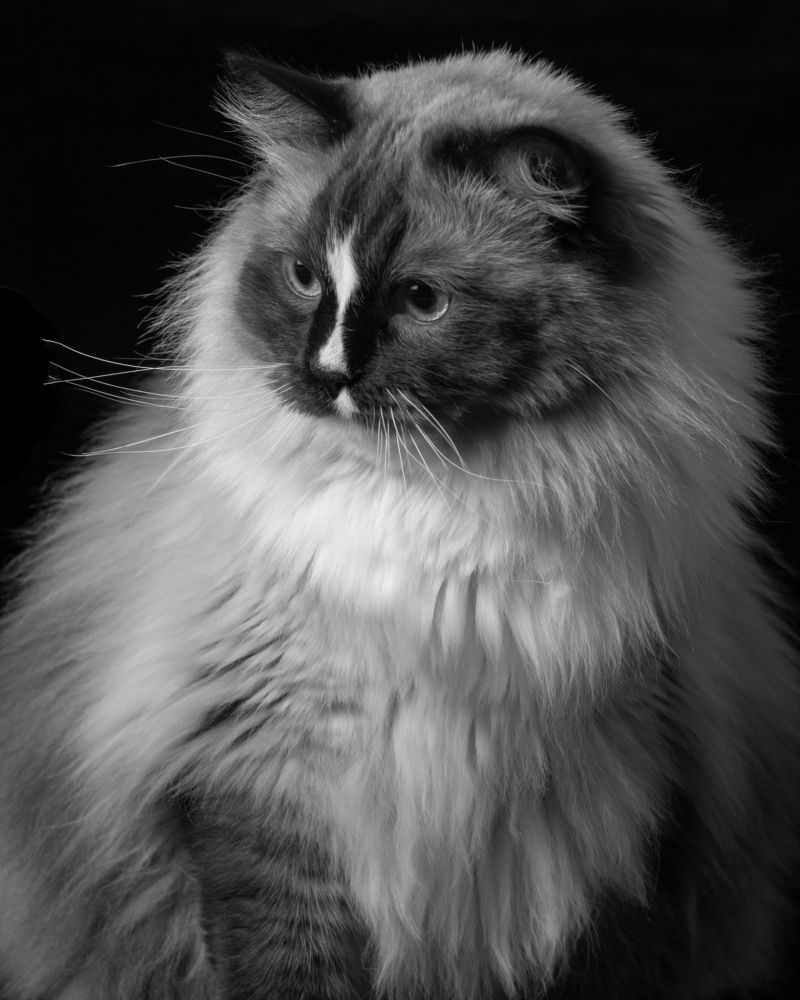 Фотография автора Наталья Якушонок