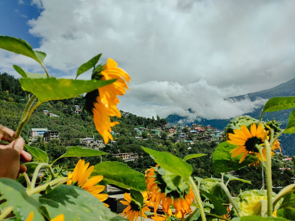 A beautiful village