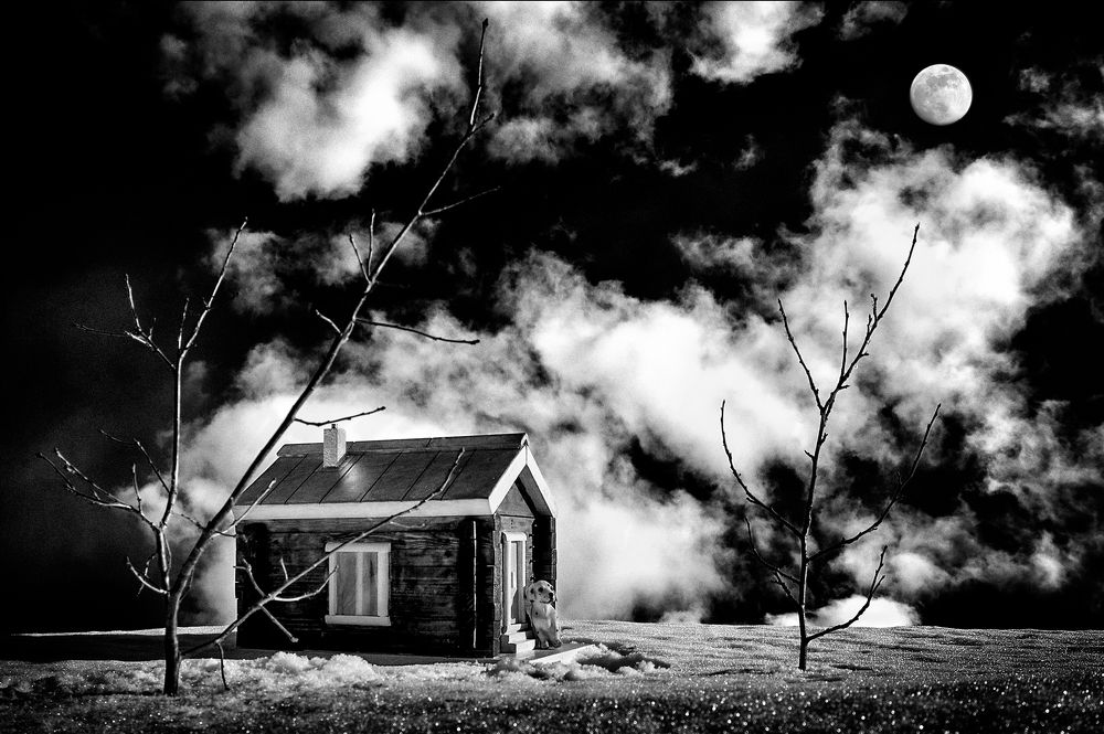 И при луне ему нет покоя.