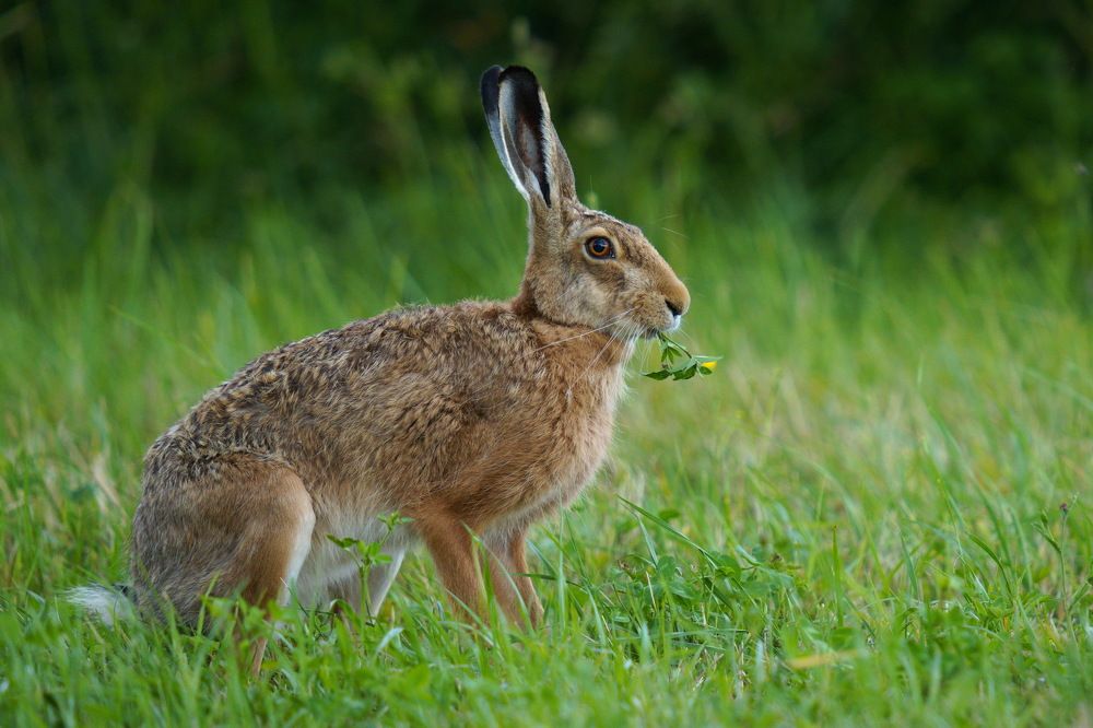 Photograph by Дмитрий Дрозд