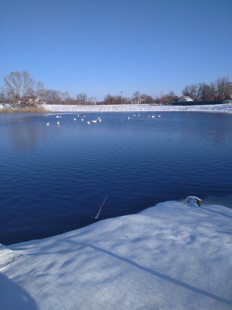 Photograph by Ирина Марченко