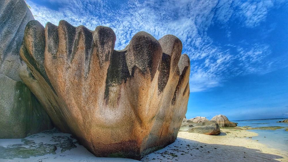 Photograph by Tatyana