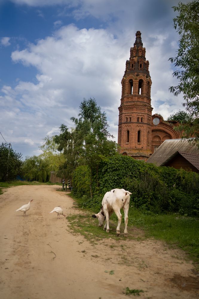 Photograph by Татьяна Алешина