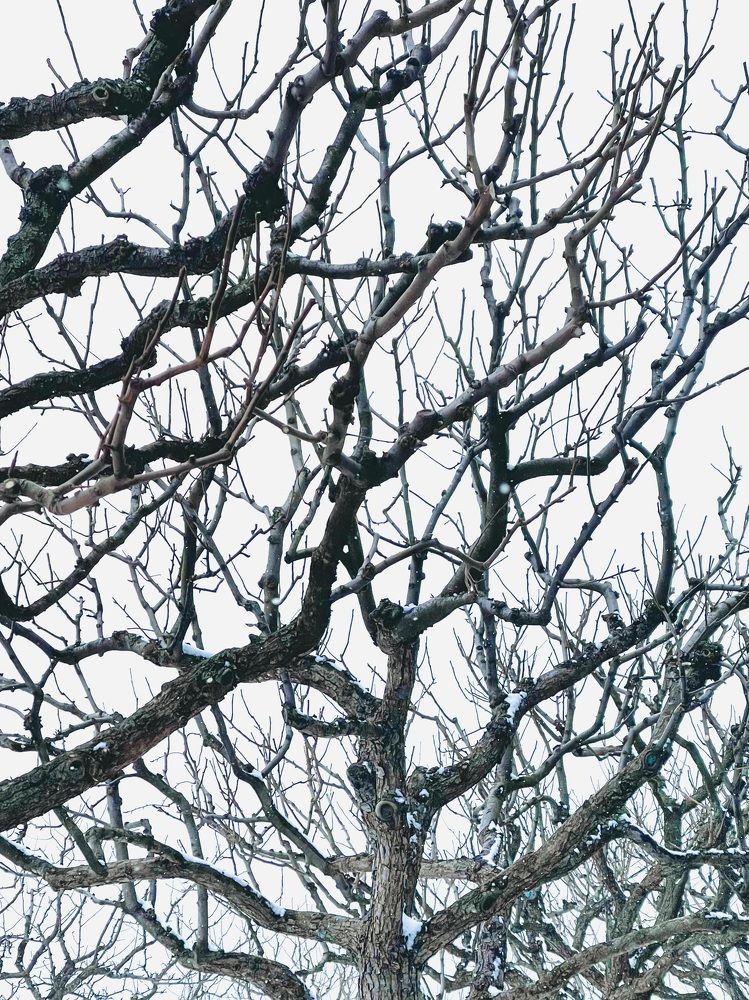 Photograph by Мария Боевая