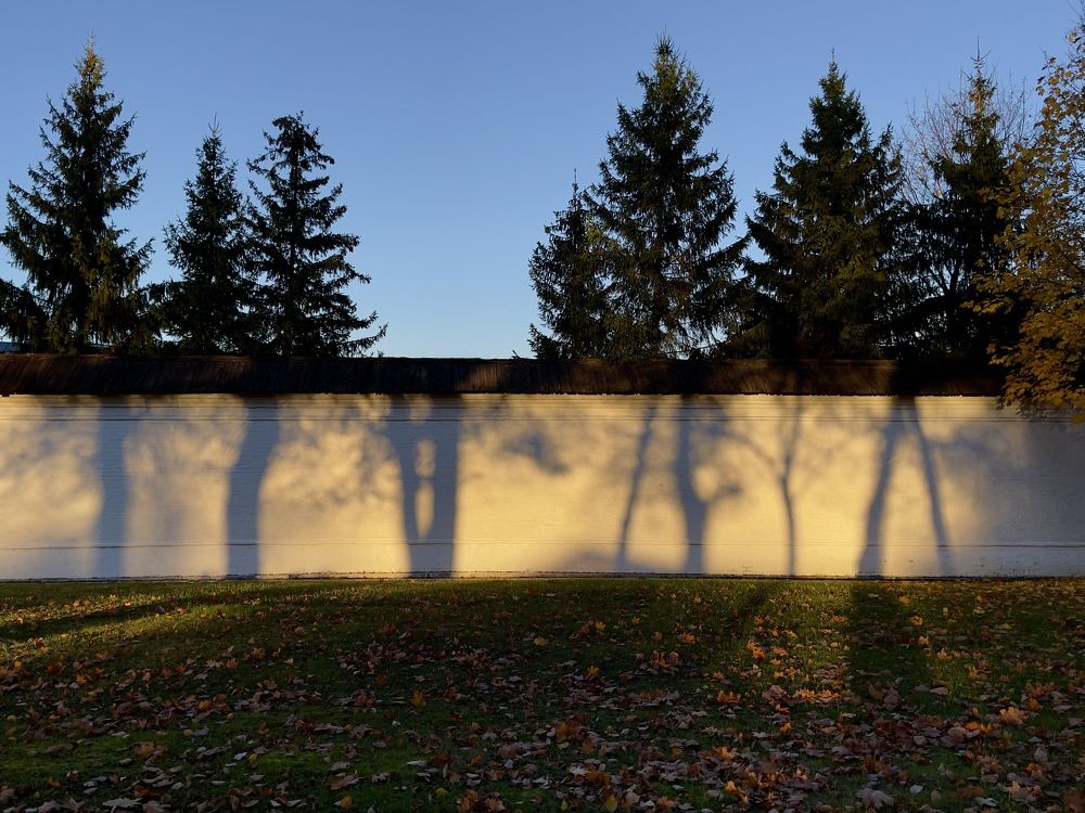 Photograph by Мария Боевая