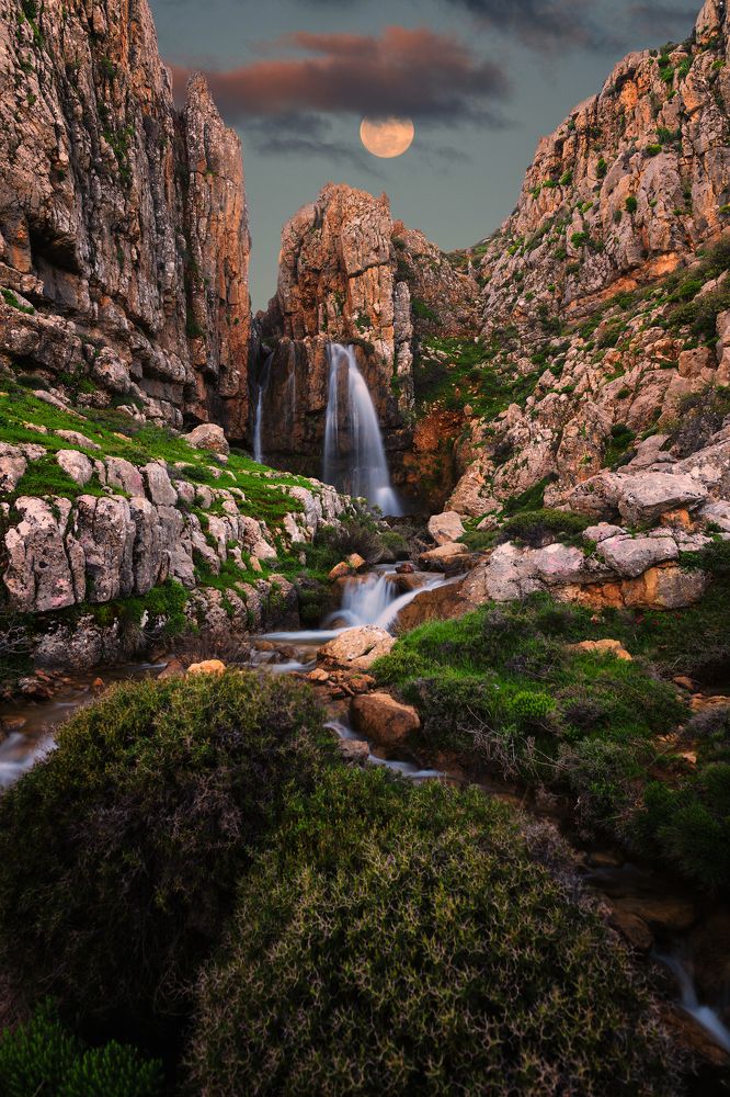 Photograph by Seif Eddine Alaa