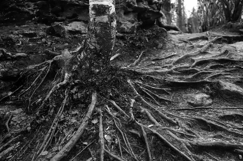 Photograph by Лада Денисова