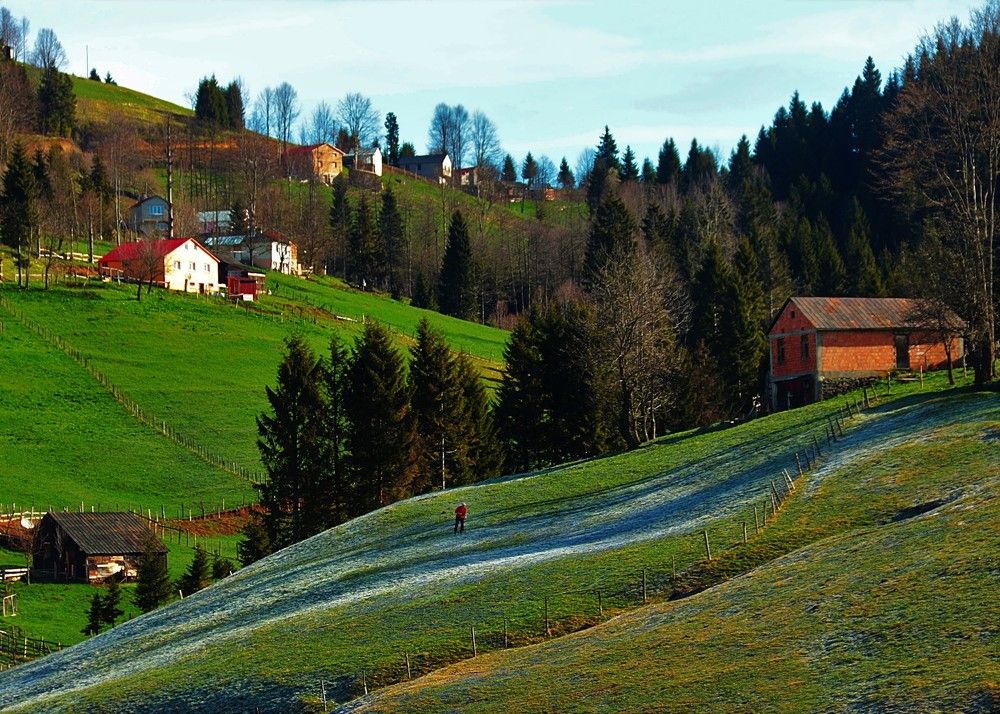 Photograph by Esin Sağır