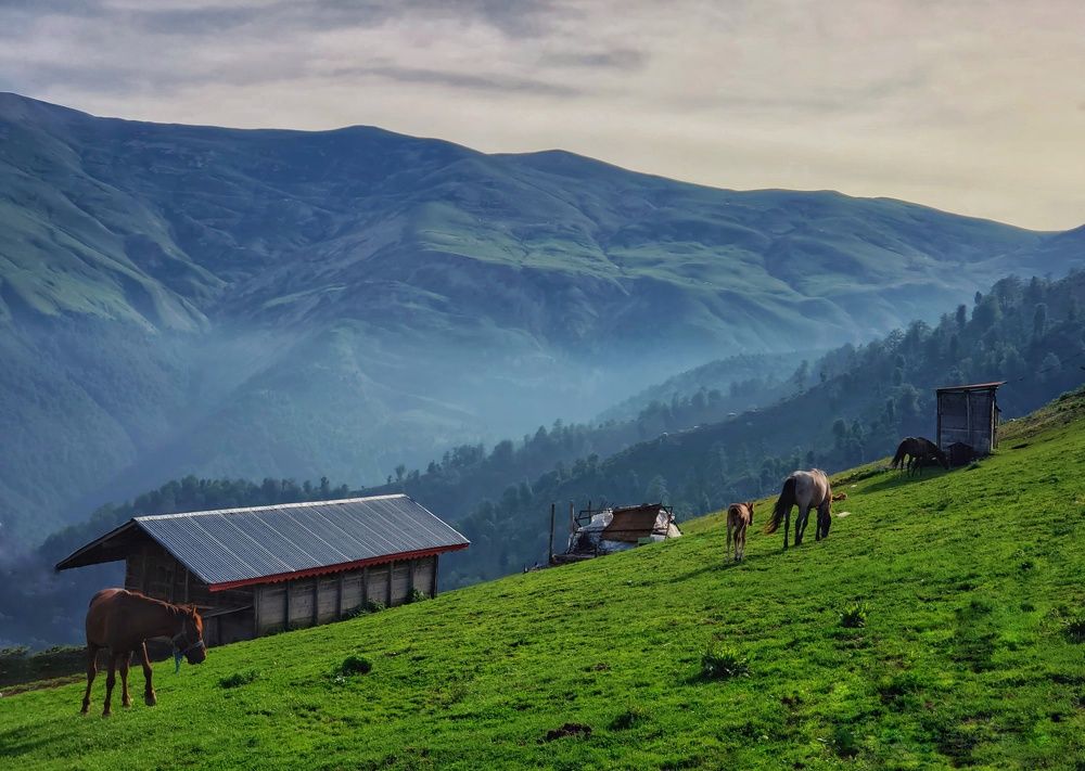 Photograph by amir shadpoor