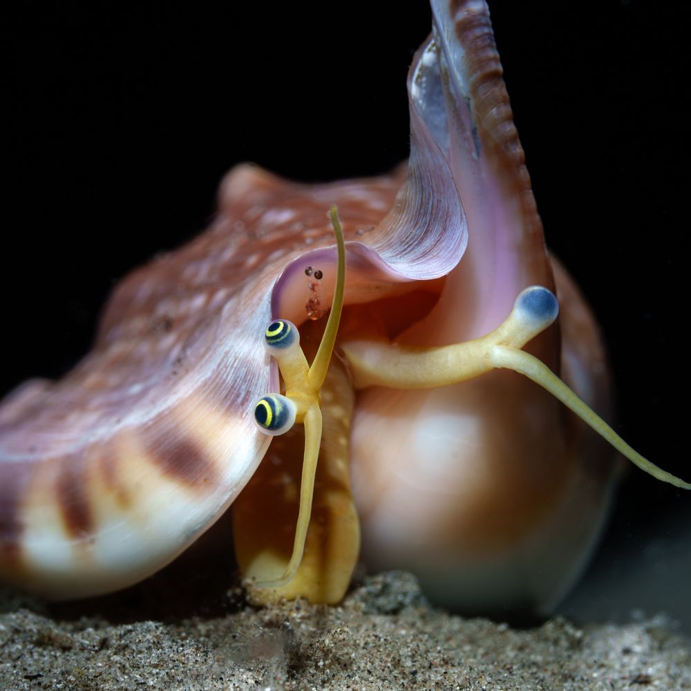 Photograph by Савин Андрей