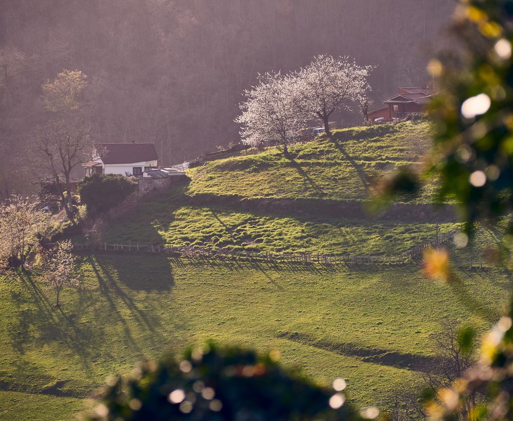 Photograph by david blanco