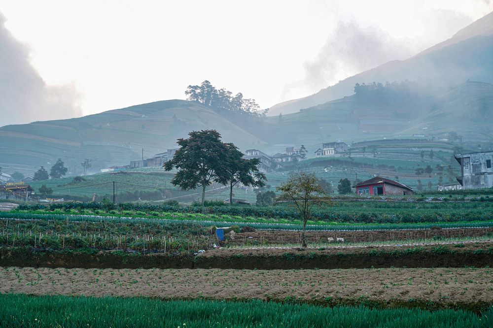 Photograph by Yustiawan