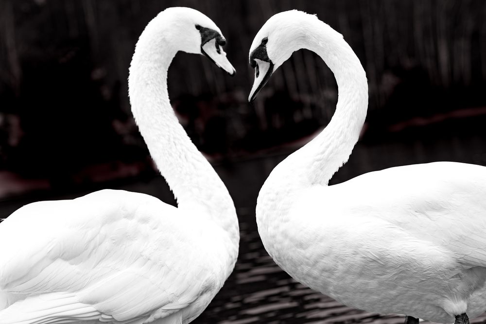 Photograph by Dmitriy Kachin