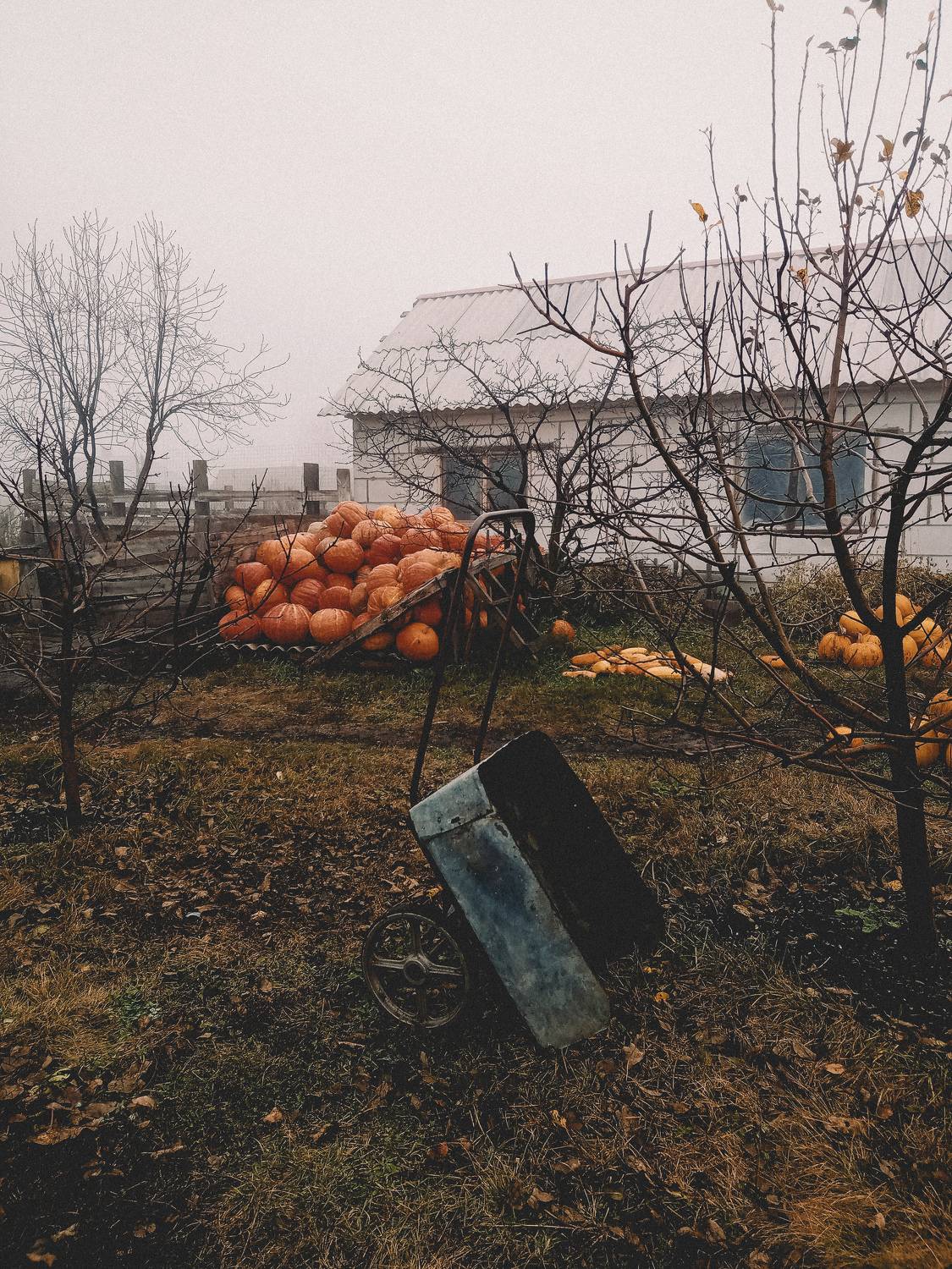 Photo #10266398