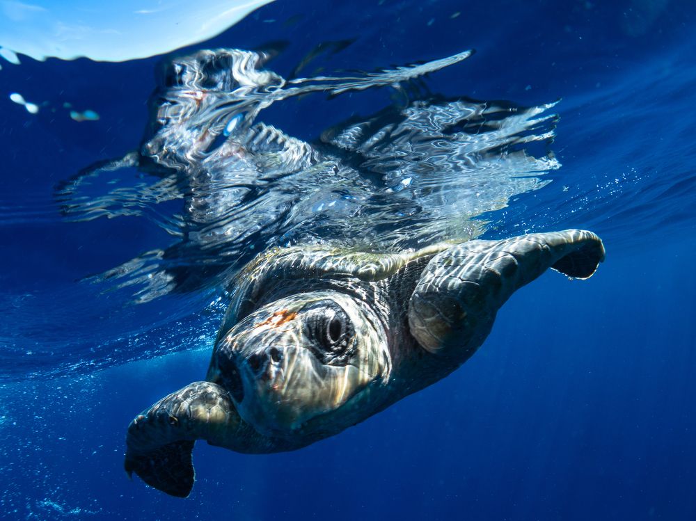 Photograph by Ceci Ver