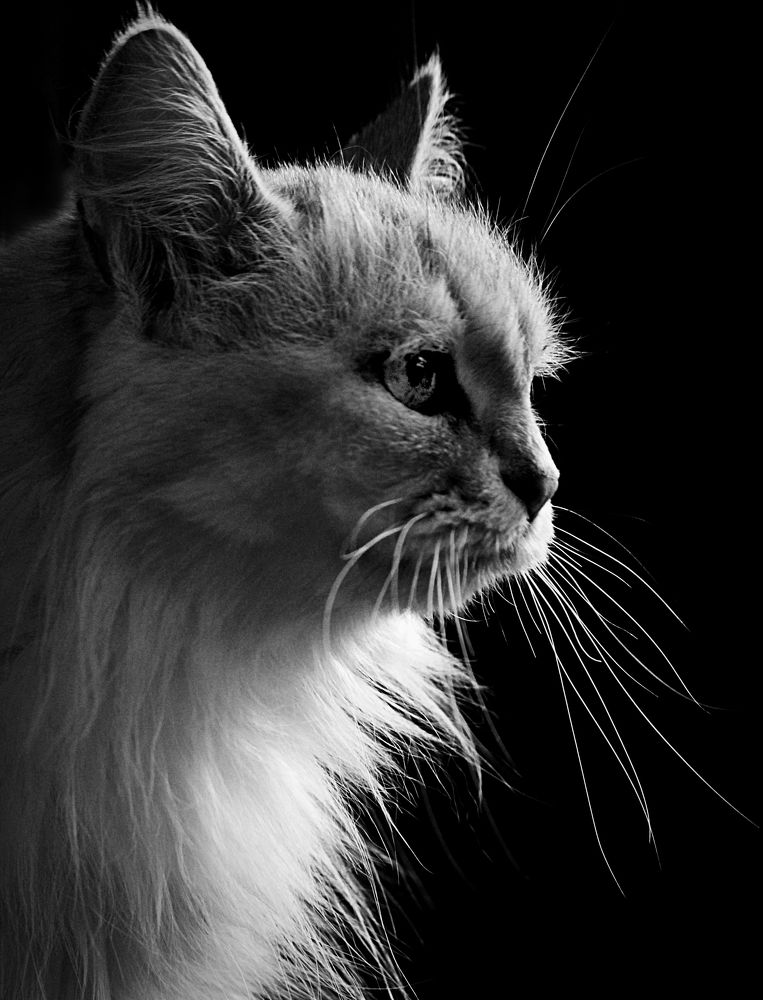 Photograph by Зоя Быкова