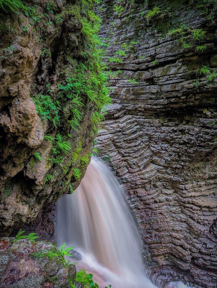 Photograph by Виталий Викторович