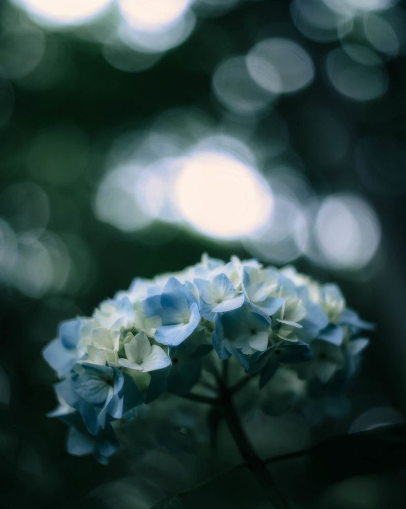 Photograph by Iida Norihito