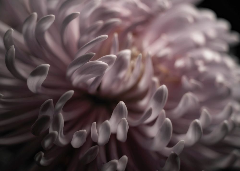 Photograph by Iida Norihito