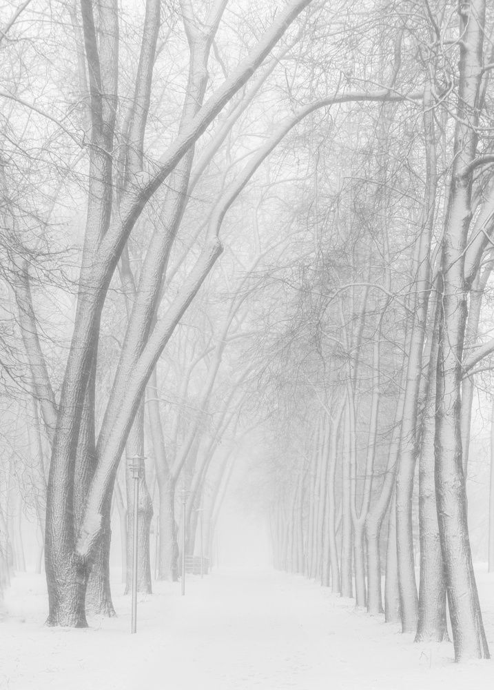 Photograph by Leanid Kulpo