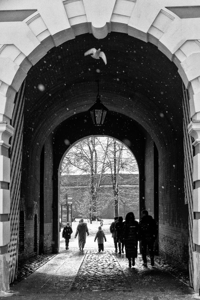 Photograph by Светлана Воробьёва