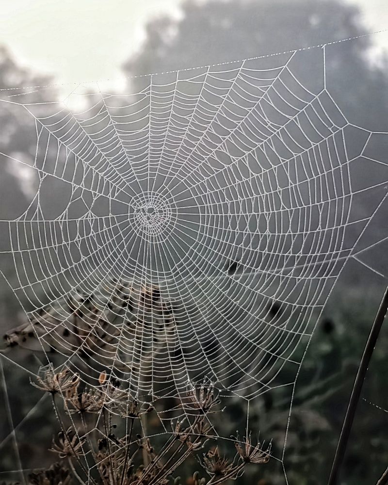 Photograph by Ольга Третьякова