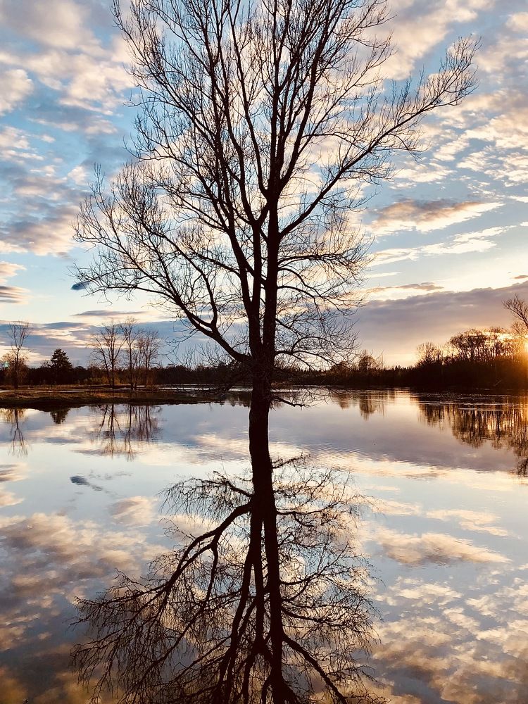 Весна.Отражение.