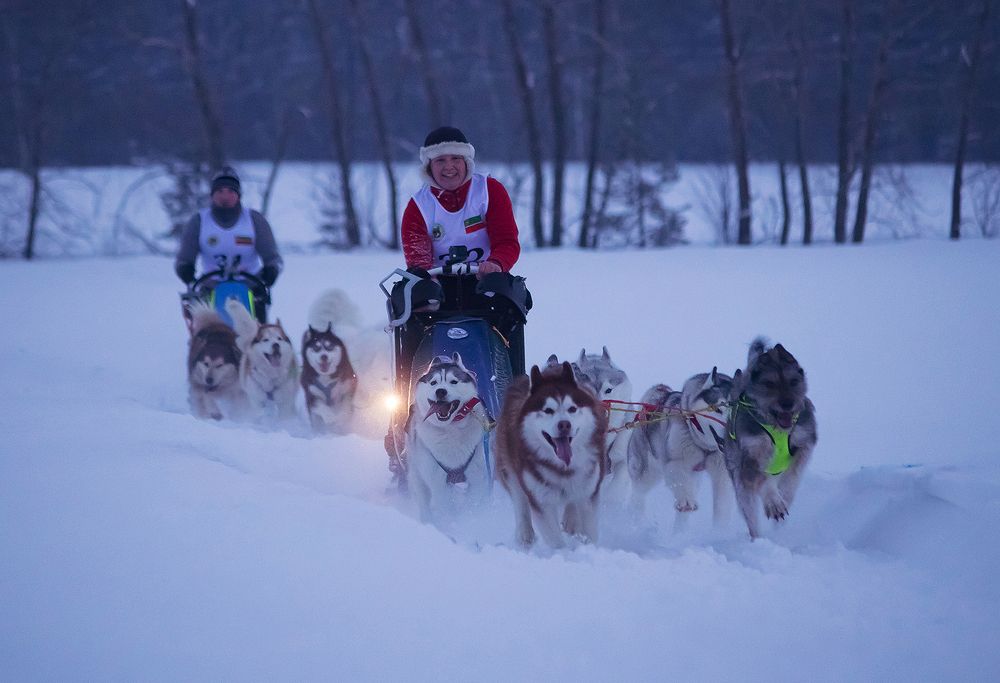 Photograph by Виктория Мамаева