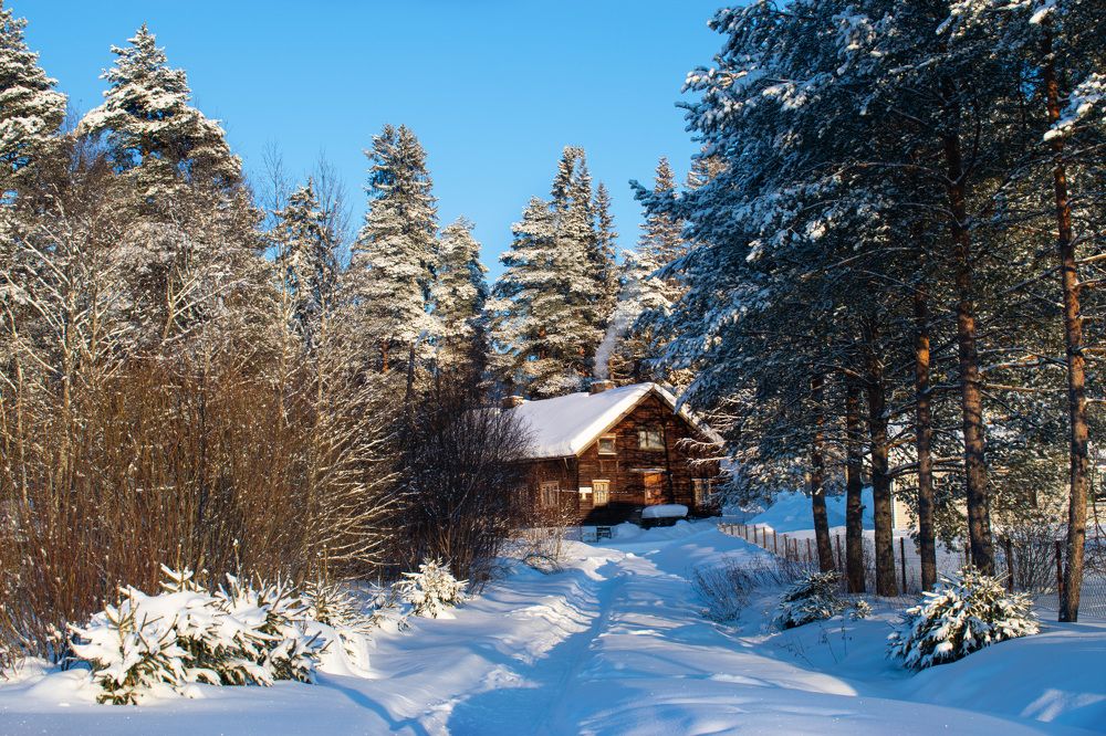 Photograph by Наталья Зверева