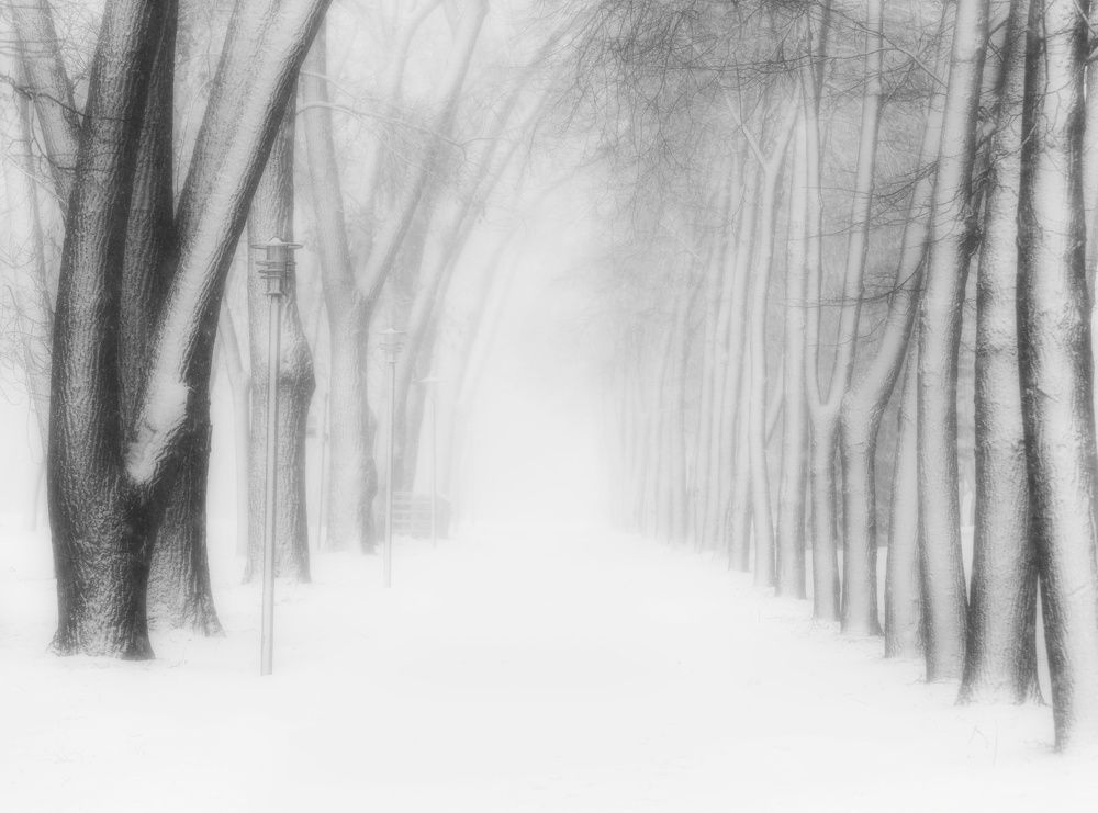 Photograph by Leanid Kulpo