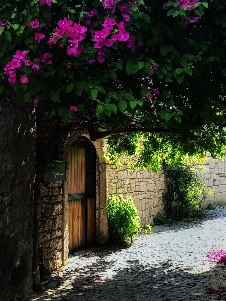 Photograph by Татьяна Шевелева