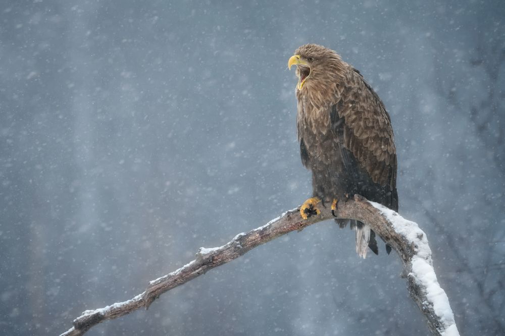 Фотография автора Рудченко Ольга