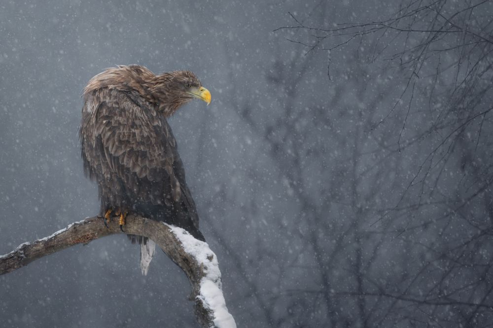 Фотография автора Рудченко Ольга
