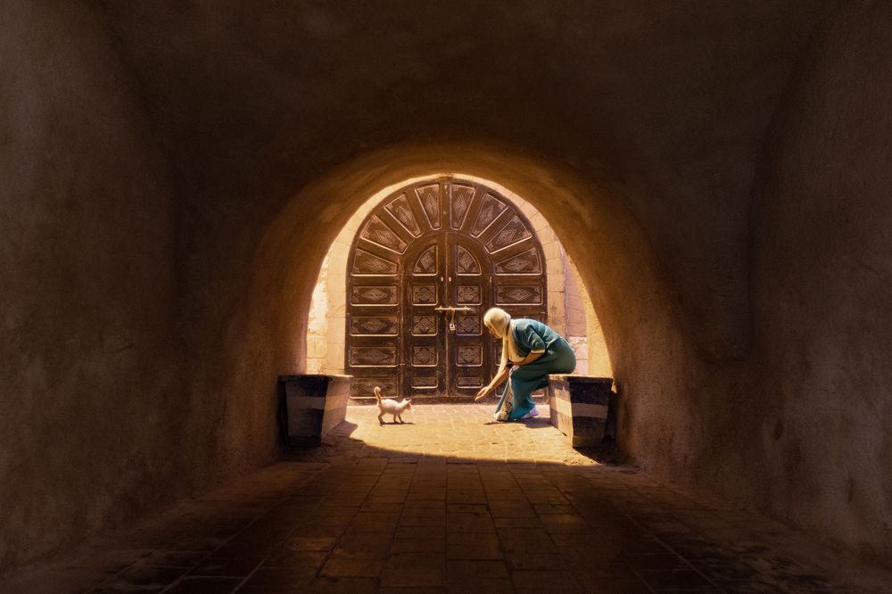 Photograph by Dianne Mao