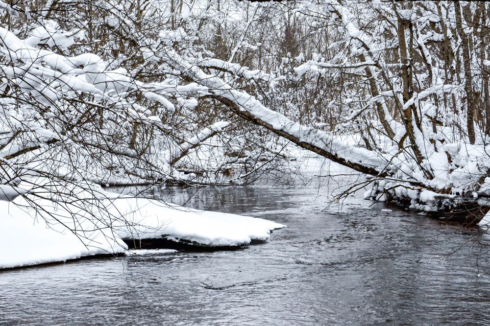 Photograph by Irina Rudneva