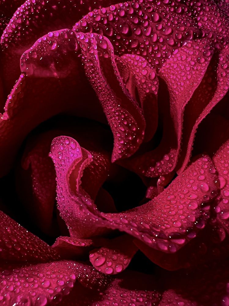 Photograph by Татьяна Зенина