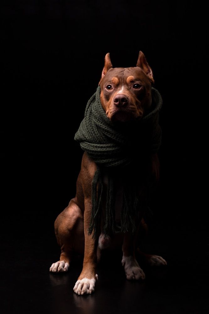 Photograph by Наталья Носова (Кучеренко)