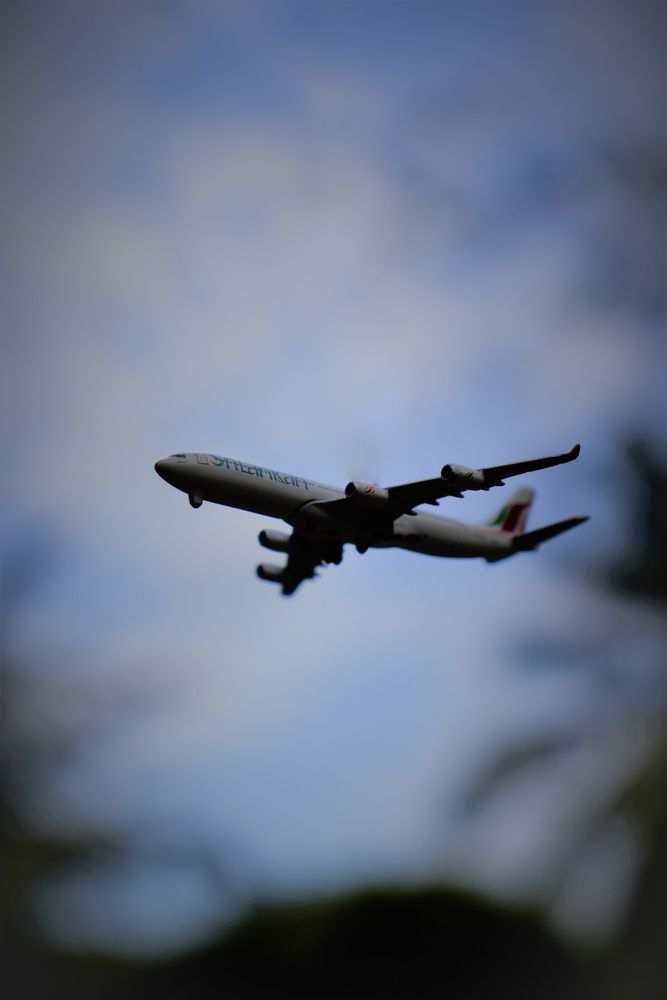 Фотография автора Senul Embuldeniya