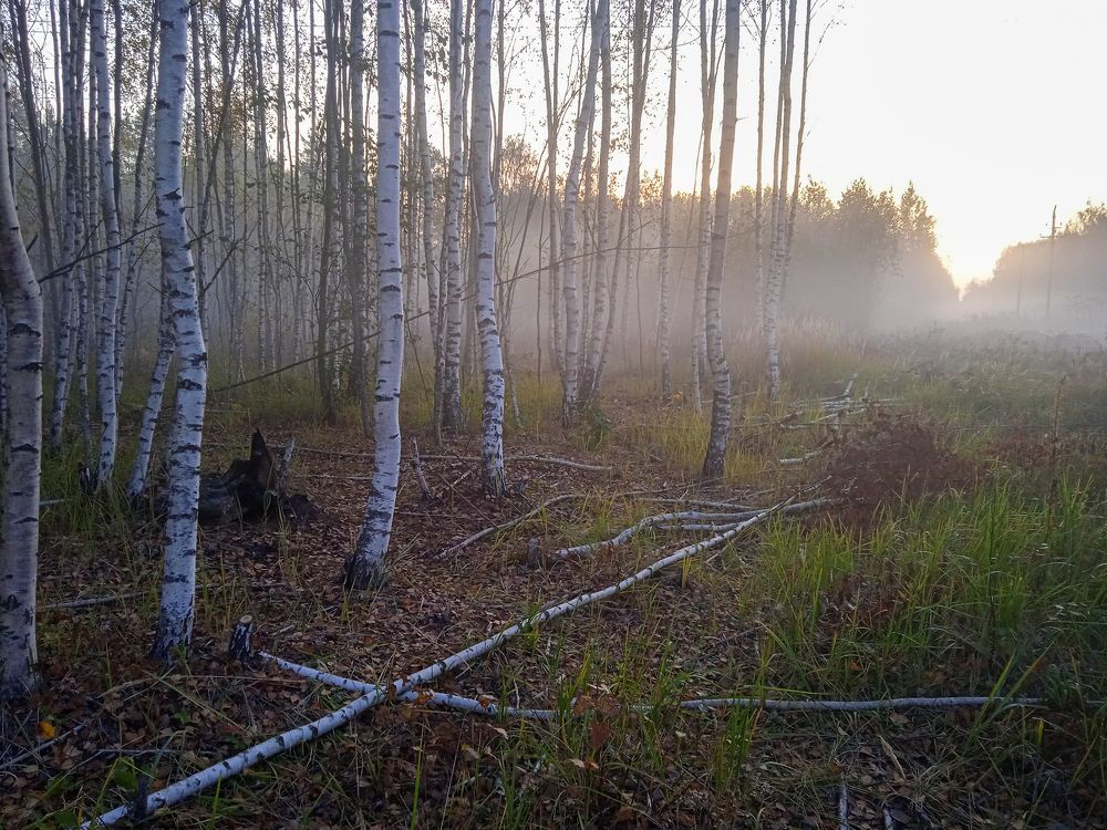 Photograph by Дмитрий Михайлов