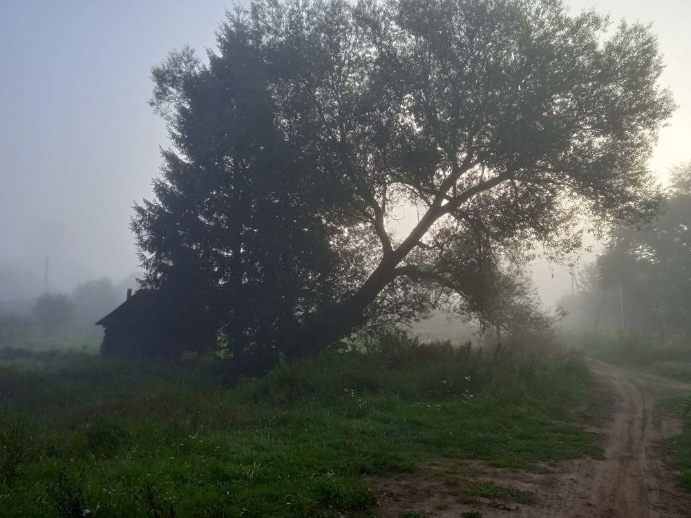 Photograph by Дмитрий Михайлов